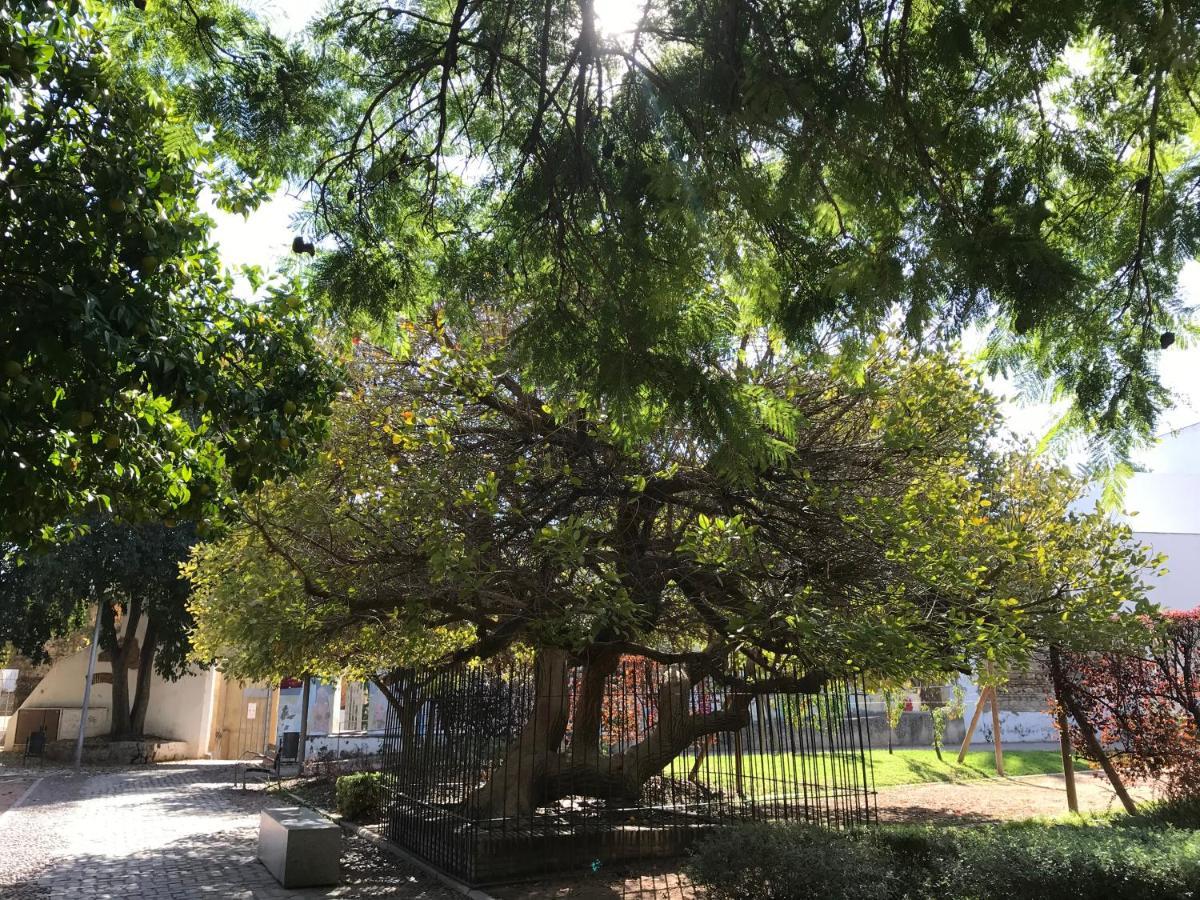 Apartamento Completo Regina Córdoba Eksteriør billede